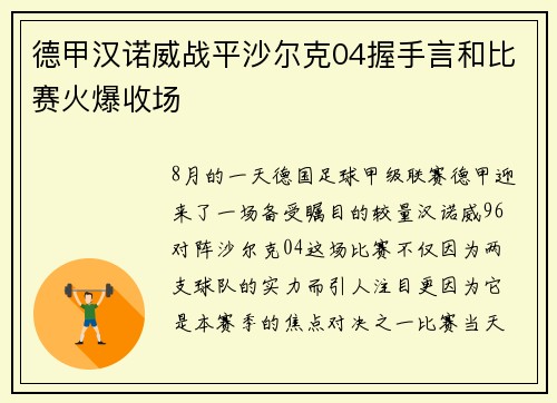德甲汉诺威战平沙尔克04握手言和比赛火爆收场